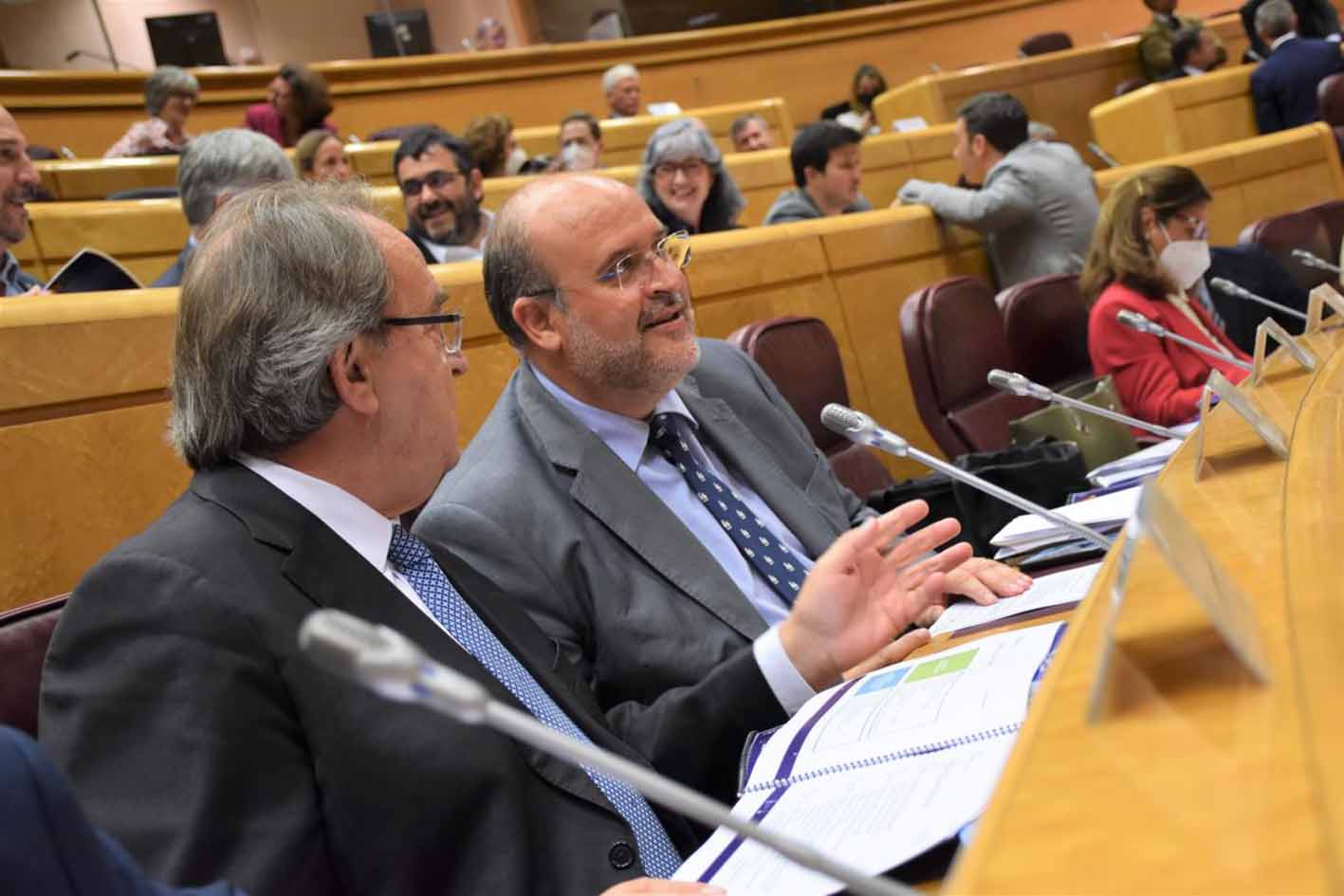 Guijarro, en el Senado durante la reunión para hablar de los Fondos Next Generation EU.