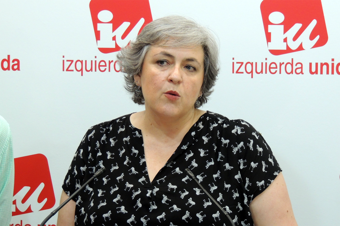 Isabel Álvarez, responsable del área de la Mujer de IU CLM. Foto: iuclm.es.