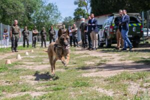 unidad canina Toledo
