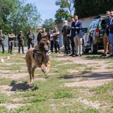 unidad canina Toledo