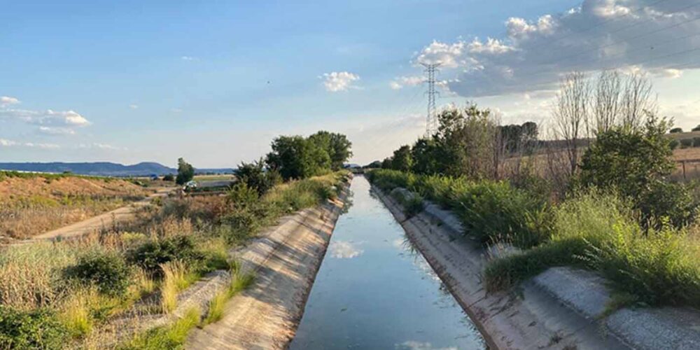 Canal del Henares en su etapa II, en la provincia de Guadalajara. Foto: Google Maps.