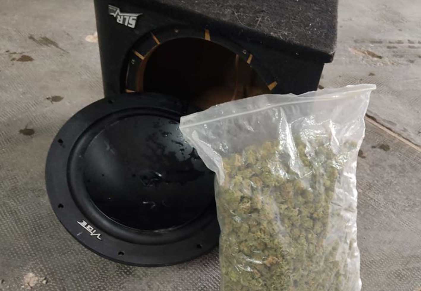 Un altavoz, marihuana dentro del mismo y un perro que descubrió el "pastel".