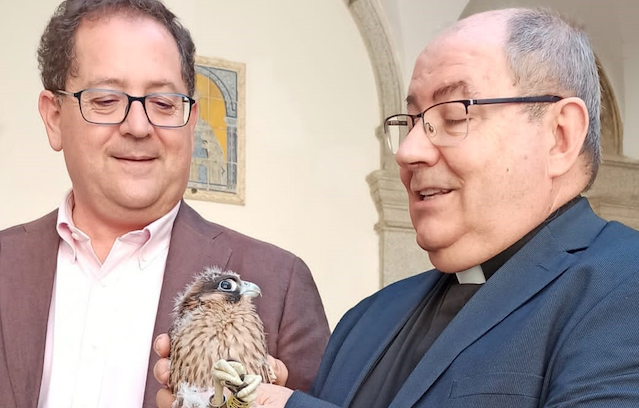 Tomás Villarrubia y Juan Pedro Sánchez, con uno de los pollos de halcón.