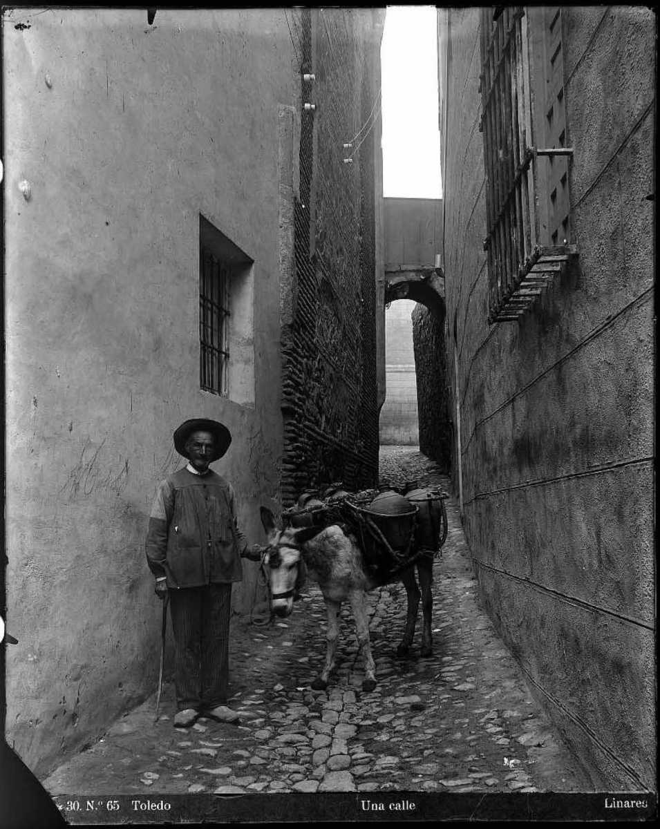 Colección Alba (Cobertizo de Orates).