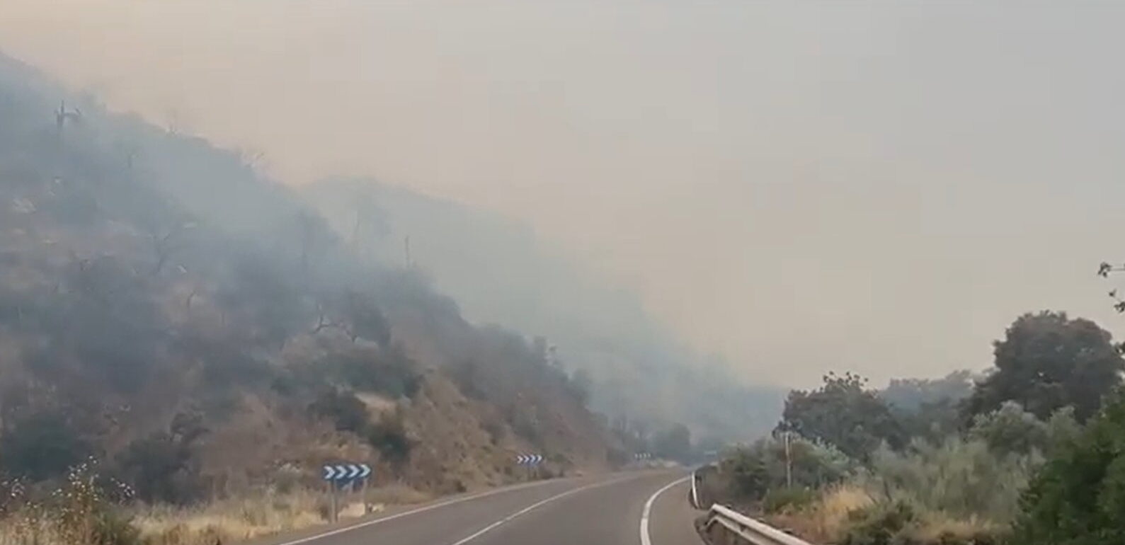 Humo procedente de las llamas que ya han cruzado la carretera de La Puebla de Montalbán.