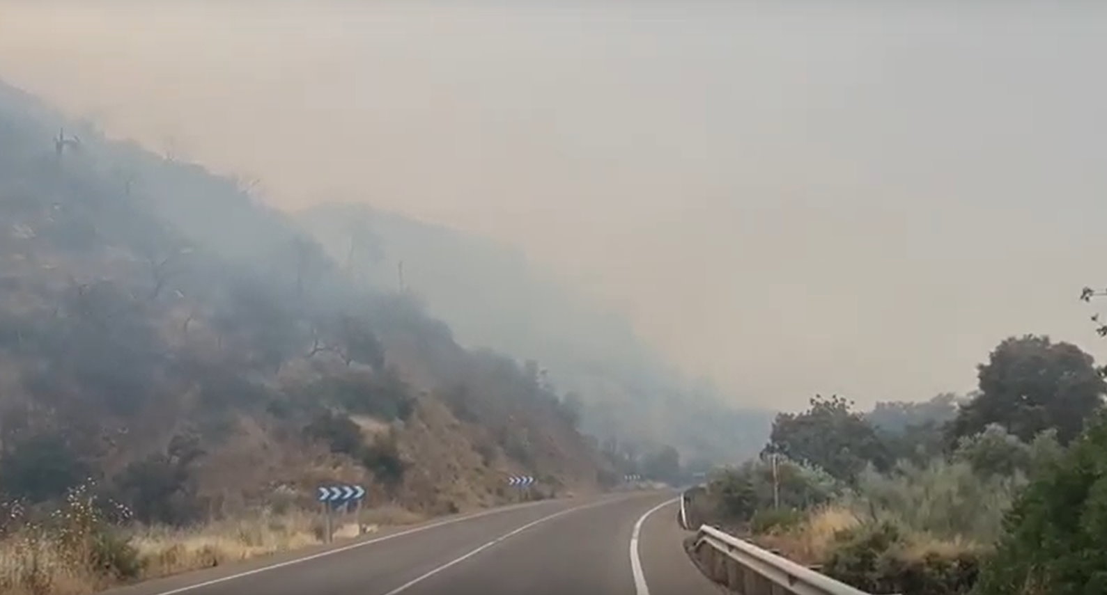 Humo procedente de las llamas que ya han cruzado la carretera de La Puebla de Montalbán.