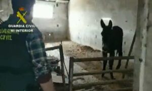 Imagen del matadero clausurado.