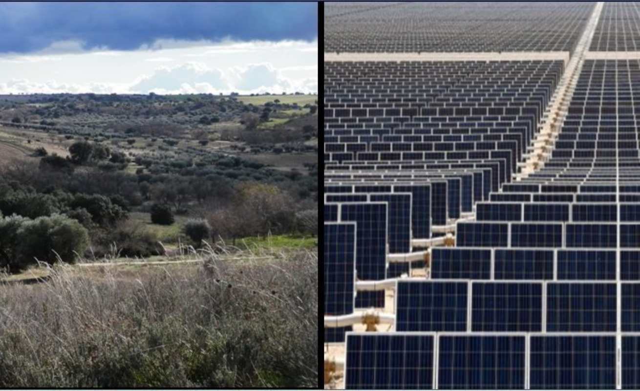 plantas-fotovoltaicas-mentrida