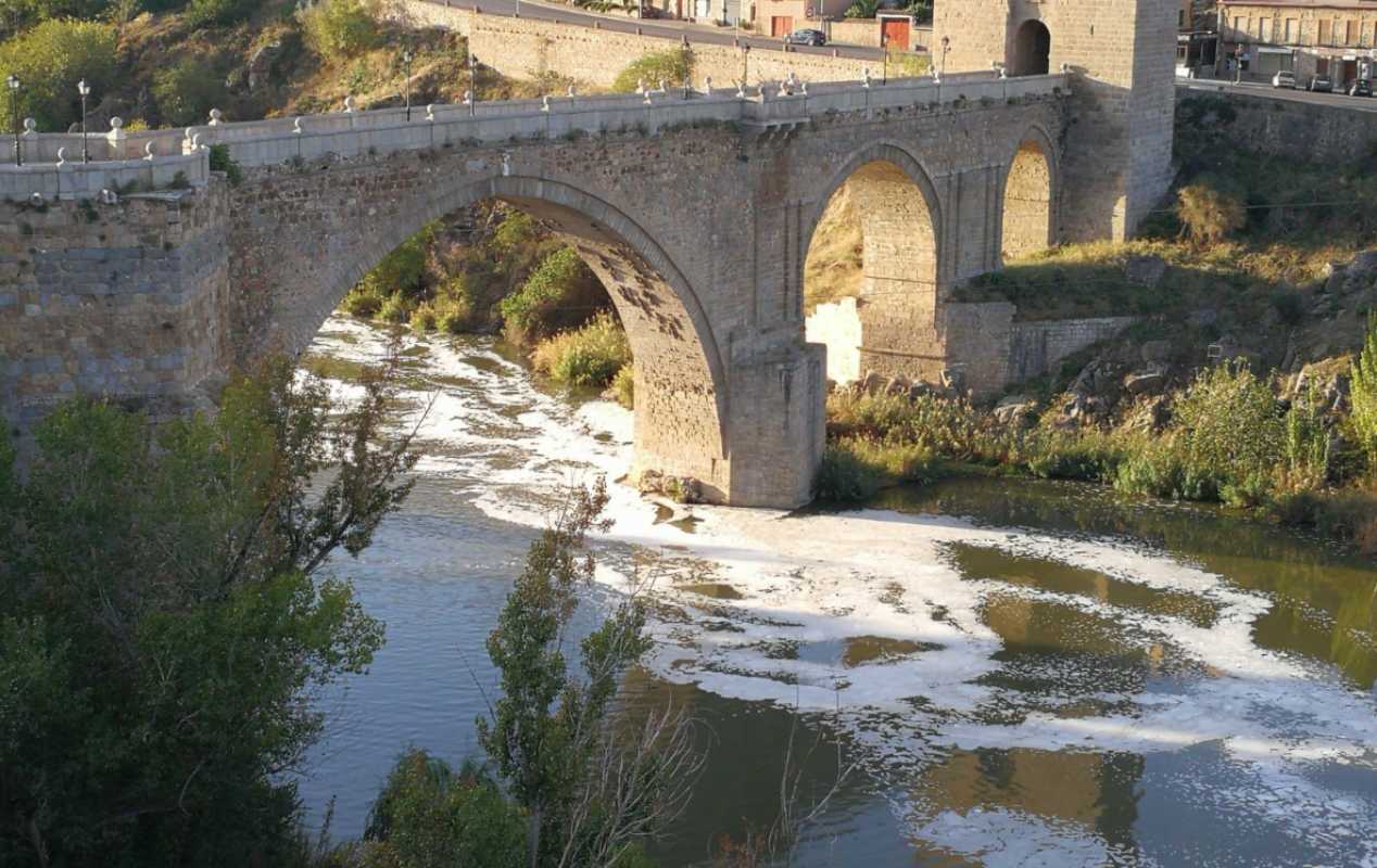 Desinsectación- riberas del río Tajo