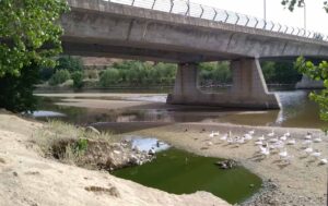 Esta es la pobre imagen que presenta el Tajo a su paso por Toledo.