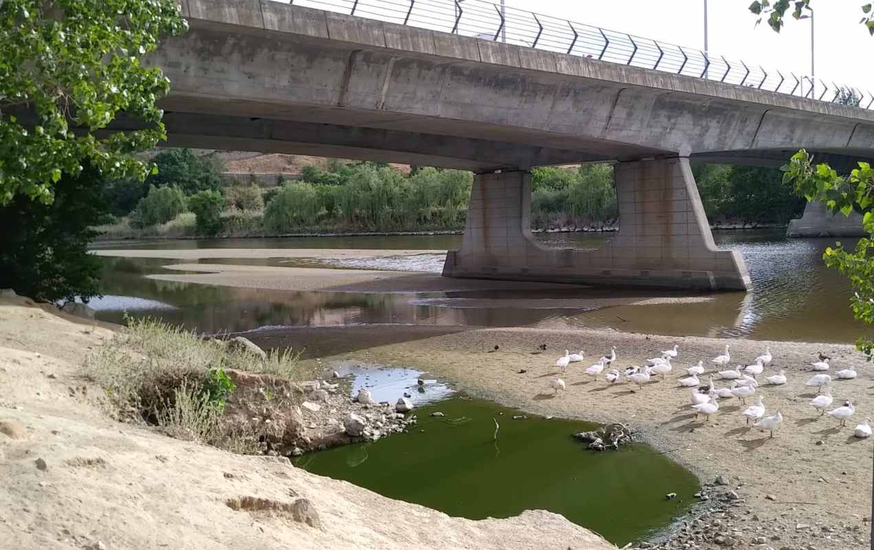 Esta es la pobre imagen que presenta el Tajo a su paso por Toledo.