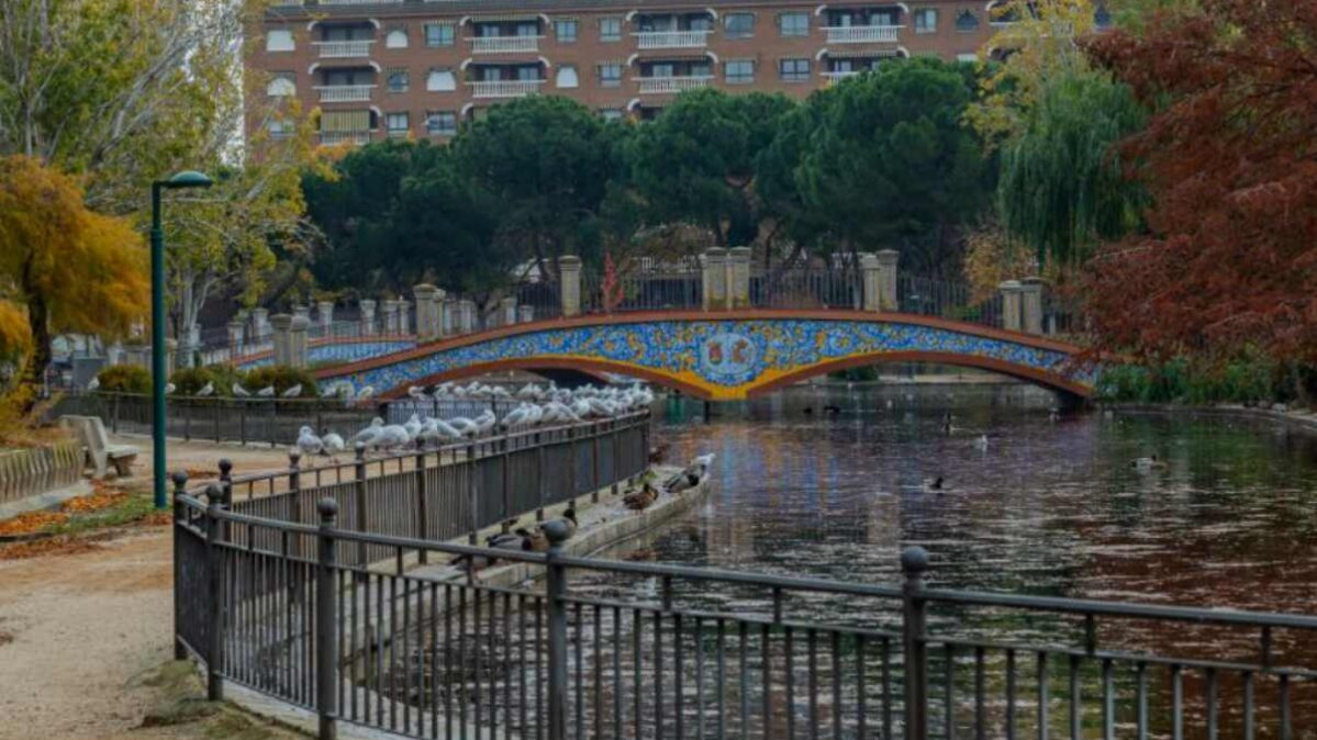 ©️Fotografía Ganadora del Concurso “Los 22 lugares del 22” de Turismo Castilla-La Mancha. Autor: Pablo Lucero Perdones. Título: Parque la Alameda.