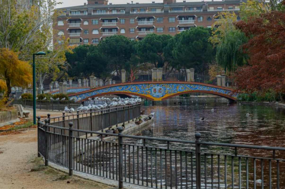 ©️Fotografía Ganadora del Concurso “Los 22 lugares del 22” de Turismo Castilla-La Mancha. Autor: Pablo Lucero Perdones. Título: Parque la Alameda.