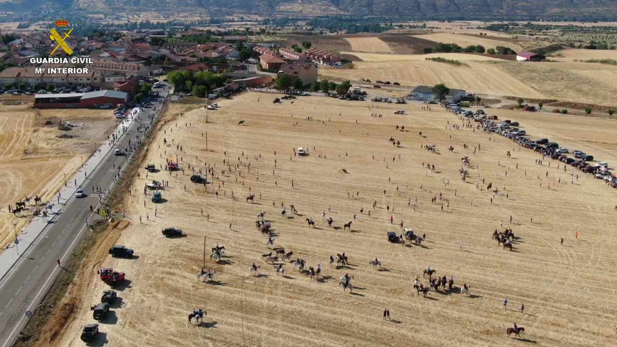 Encierro por el campo en Uceda (Guadalajara)