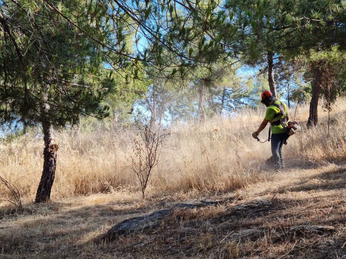 El fin de los desbroces es disminuir el riesgo de incendios.