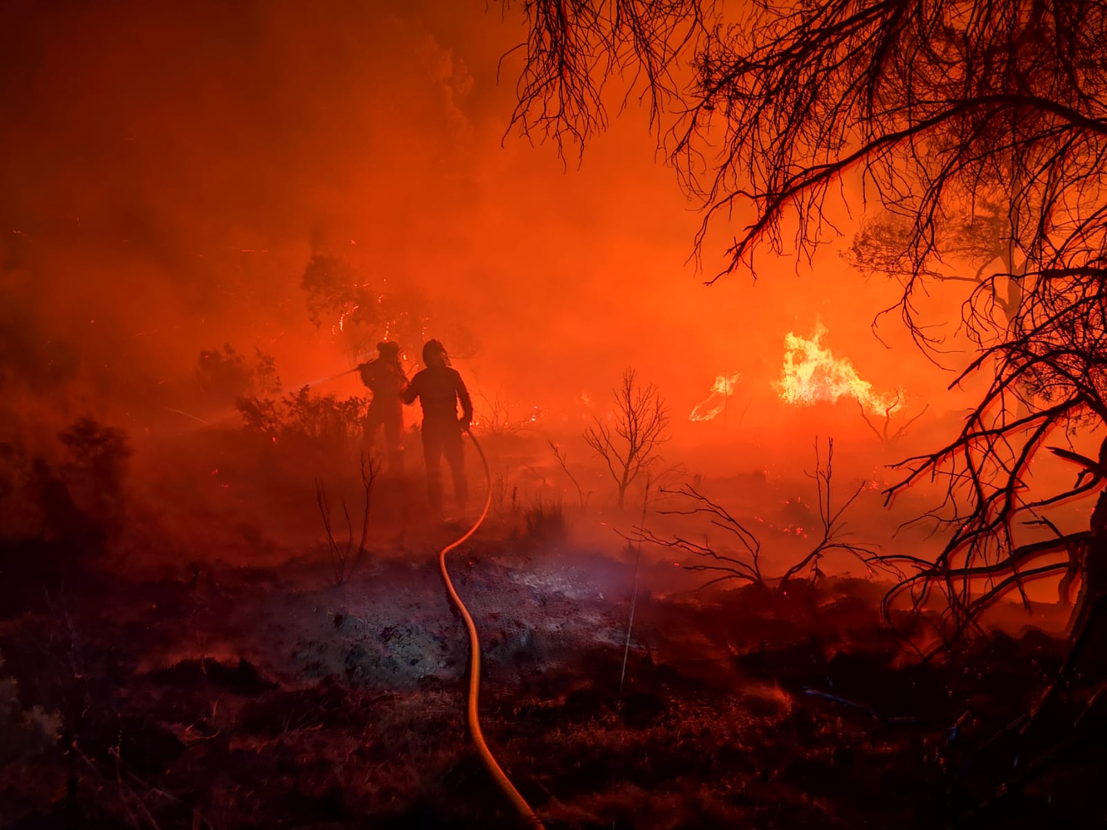 Imagen de las labores de extinción la pasada noche en Venta de Moro. Foto: Twitter @UMEgob.