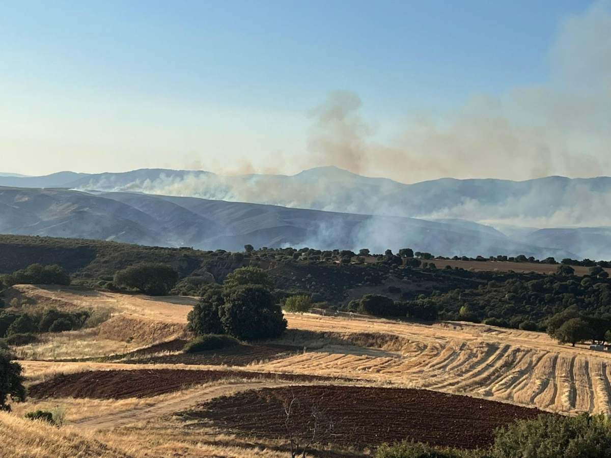 Incendio Valdepeñas de la Sierra. Guadalajara.