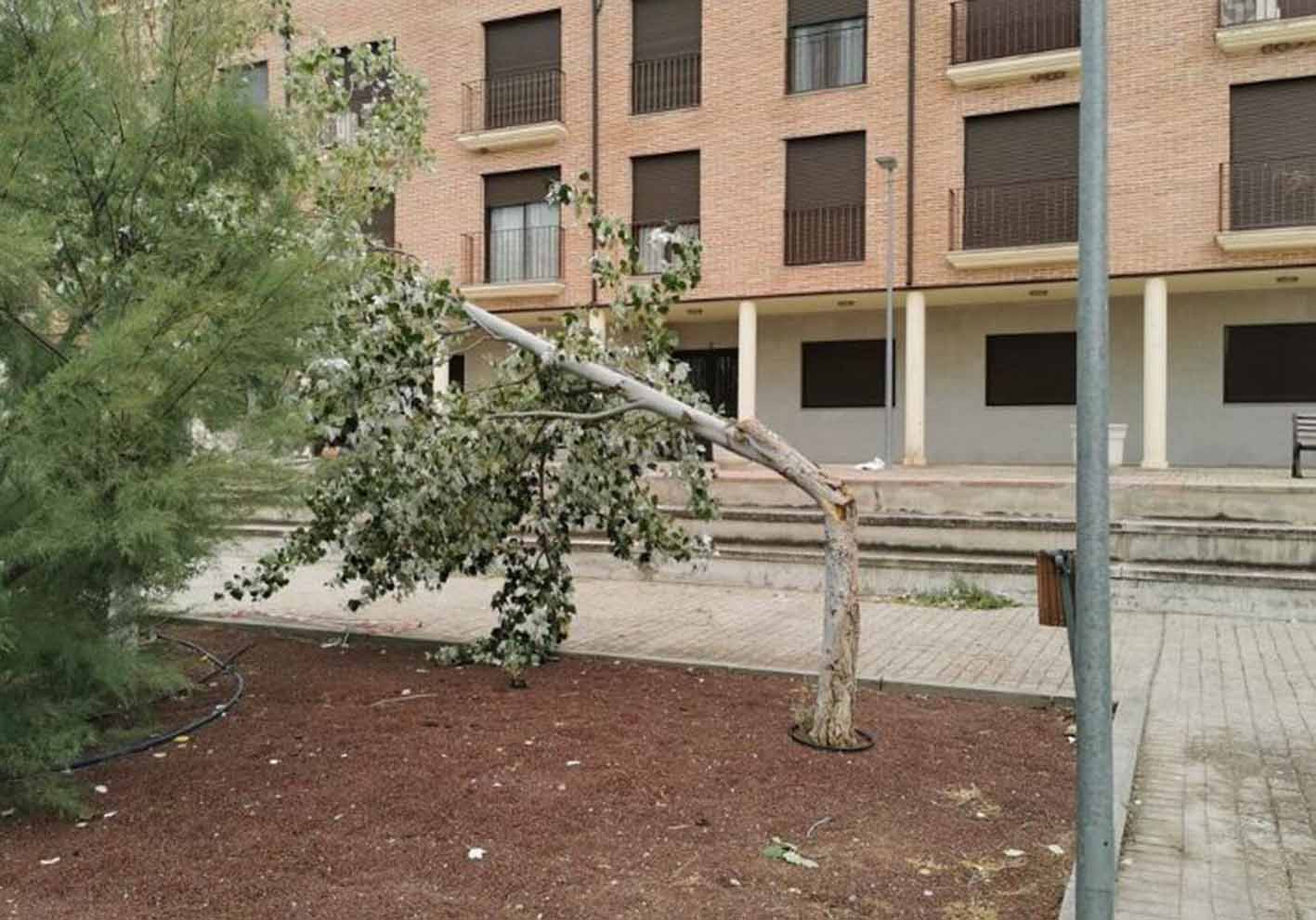 Temporal de viento en Burguillos. Foto: Ayuntamiento de Burguillos.