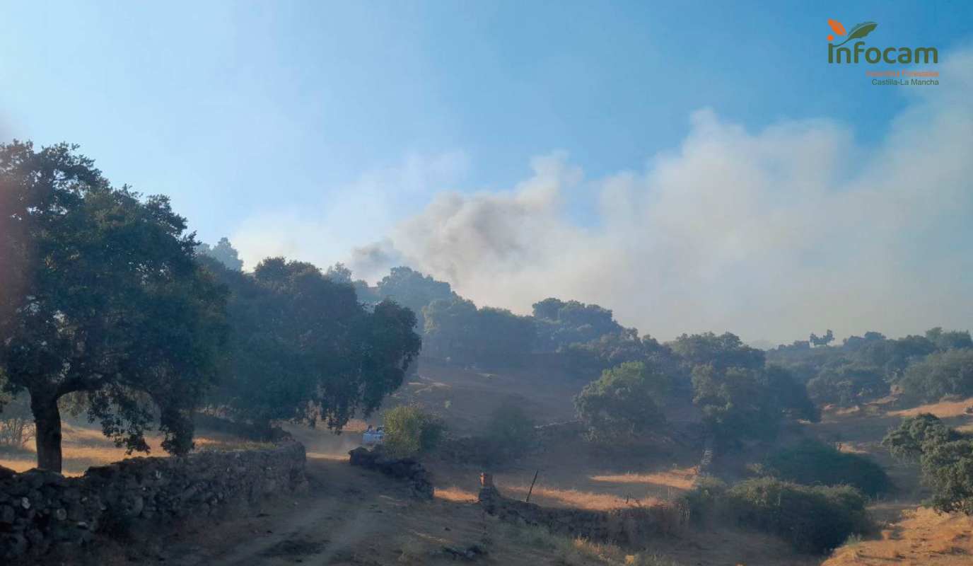 Incendio forestal en Castillo de Bayuela (Toledo).