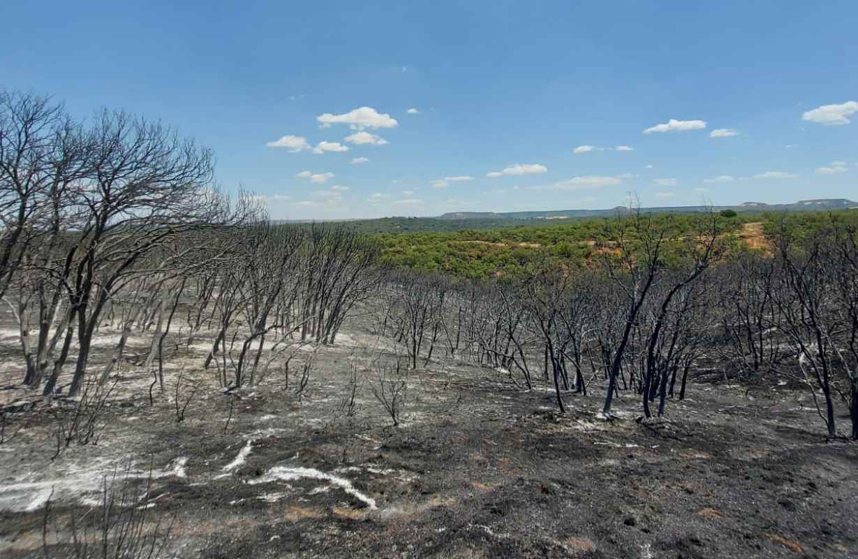 Incendio de Humanes (Guadalajara).