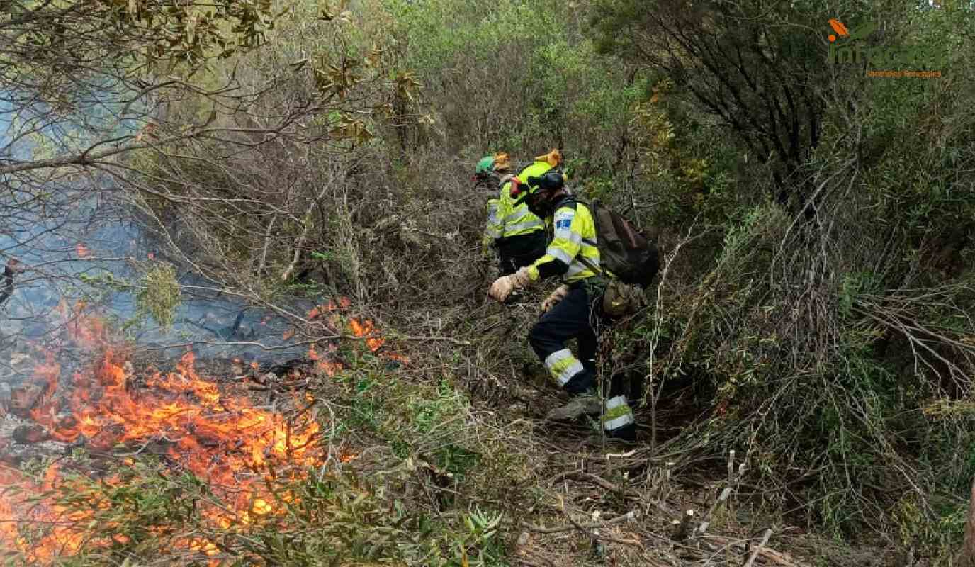 Efectivos de Geacam en uno de los incendios en Castilla-La Mancha.