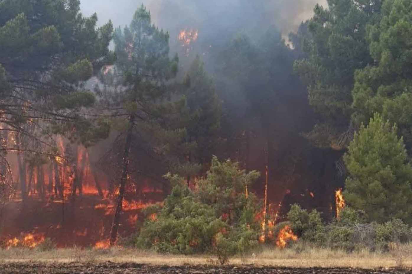 Imagen de un incendio en la provincia de Cuenca.
