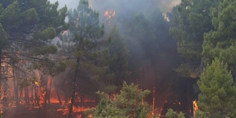 incendio-bascuñana-san-pedro-cuenca