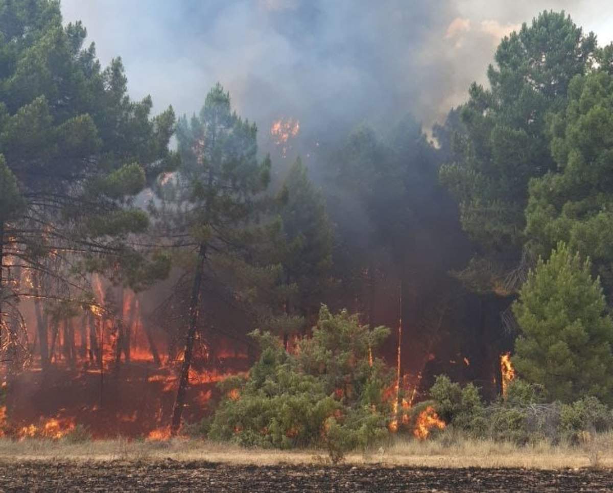 incendio-bascuñana-san-pedro-cuenca