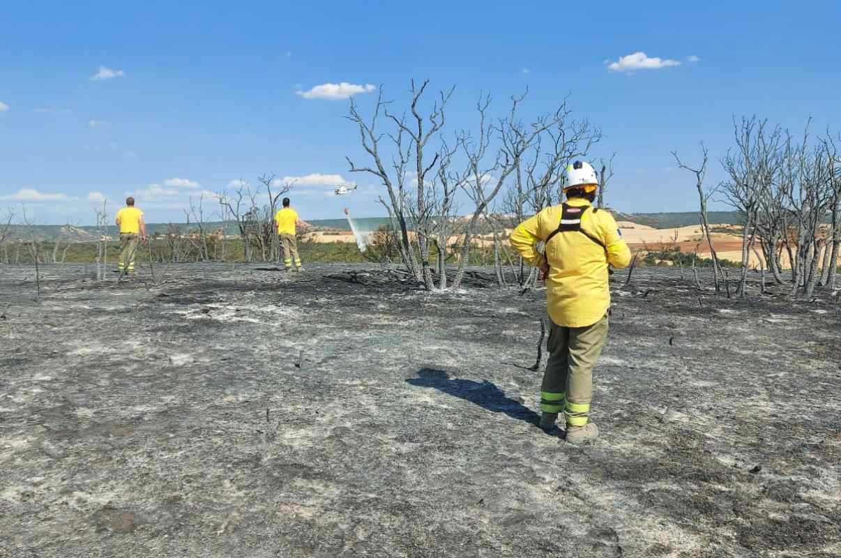 Efectivos del Plan Infocam en las tareas de extinción del incendio de Humanes. Foto: Samuel Alcocer.