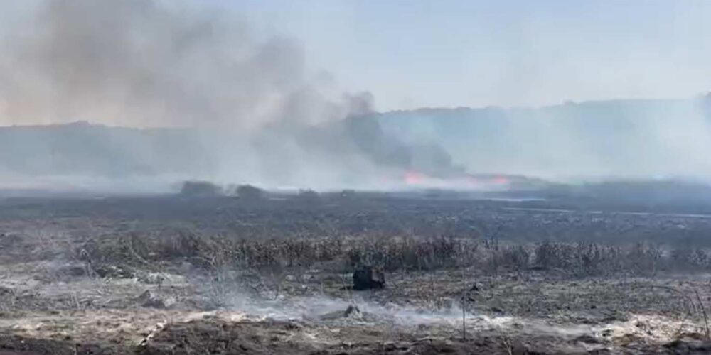 Incendio en el Parque Natural de las Lagunas de Ruidera.