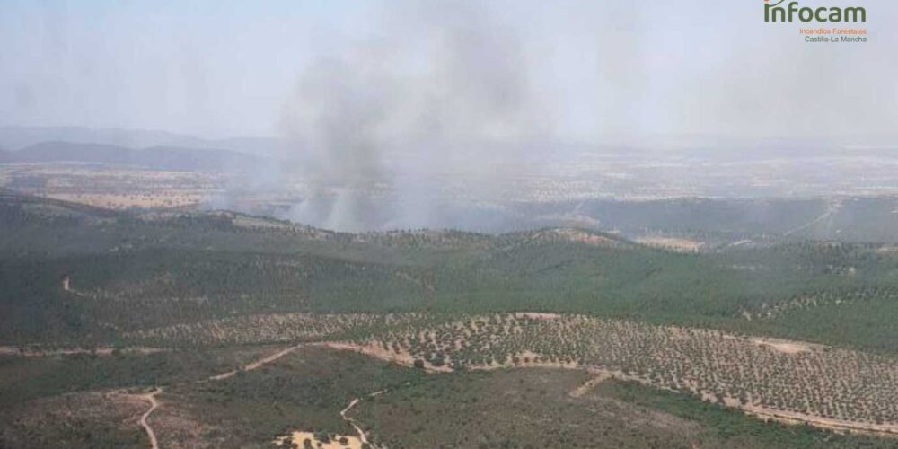 Incendio forestal en Malagón (Ciudad Real).