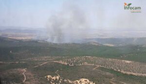 Incendio forestal en Malagón (Ciudad Real).
