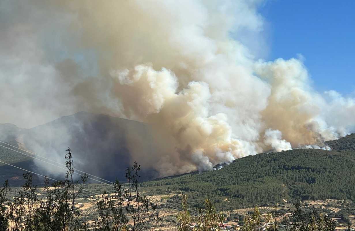 Incendio en Sevilleja de la Jara (Toledo). Foto: Ariadna Burgos.