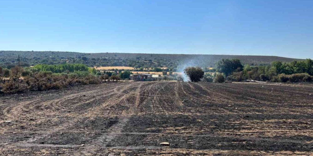 Incendio de Valdepeñas de la Sierra. Foto: María Gil.