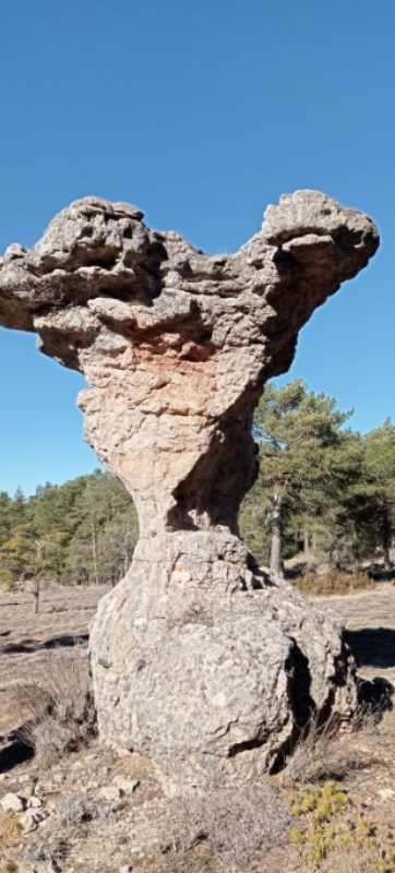 ©️Fotografía Ganadora del Concurso “Los 22 lugares del 22” de Turismo Castilla-La Mancha. Localización: Serranía de Cuenca. Autor: Tonistar. Título: Otro tormo.