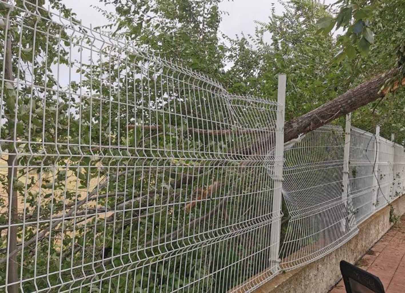 Así cayó un árbol sobre una alambrada. Foto: Ayuntamiento de Burguillos.