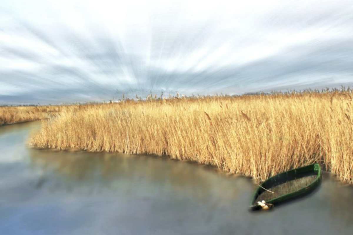 ©️Fotografía Ganadora del Concurso “Los 22 lugares del 22” de Turismo Castilla-La Mancha. Localización: Tablas de Daimiel. Autor: Kini Mercado. Título: "Agua en las Tablas".