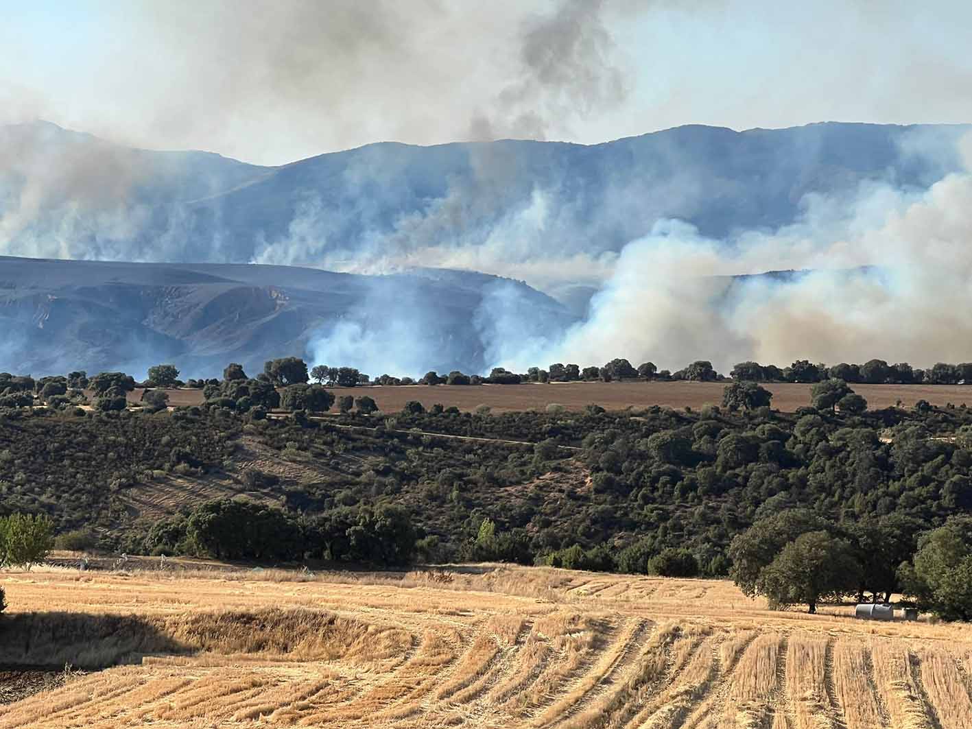 Detalle del incendio de Valdepeñas de la Sierra sobre las 19 horas. Foto: María Gil.
