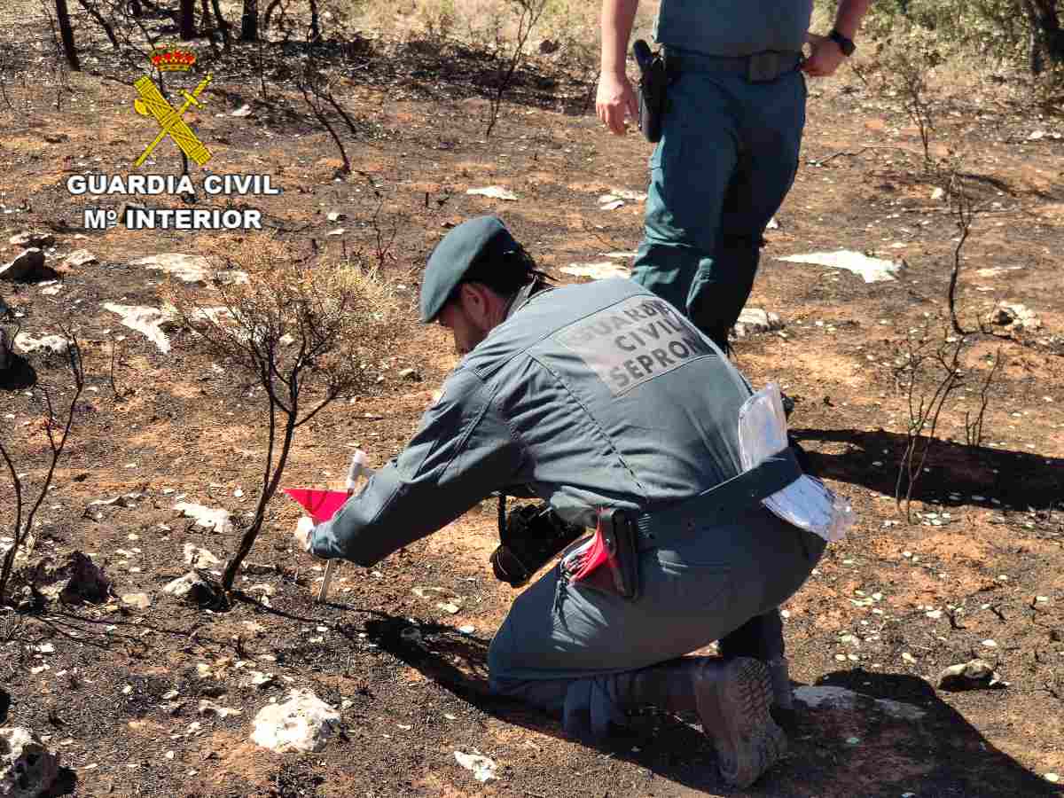 Guardia Civil SEPRONA investigación incendio de Yunquera de Henares