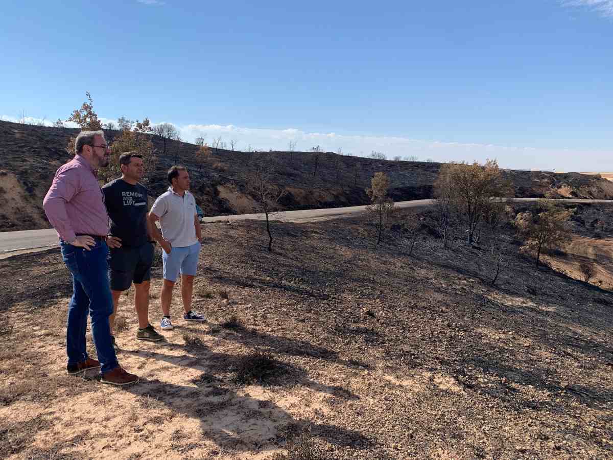 Eusebio Robles, delegado JCCM en Guadalajara visita zonas afectadas por incendios forestales