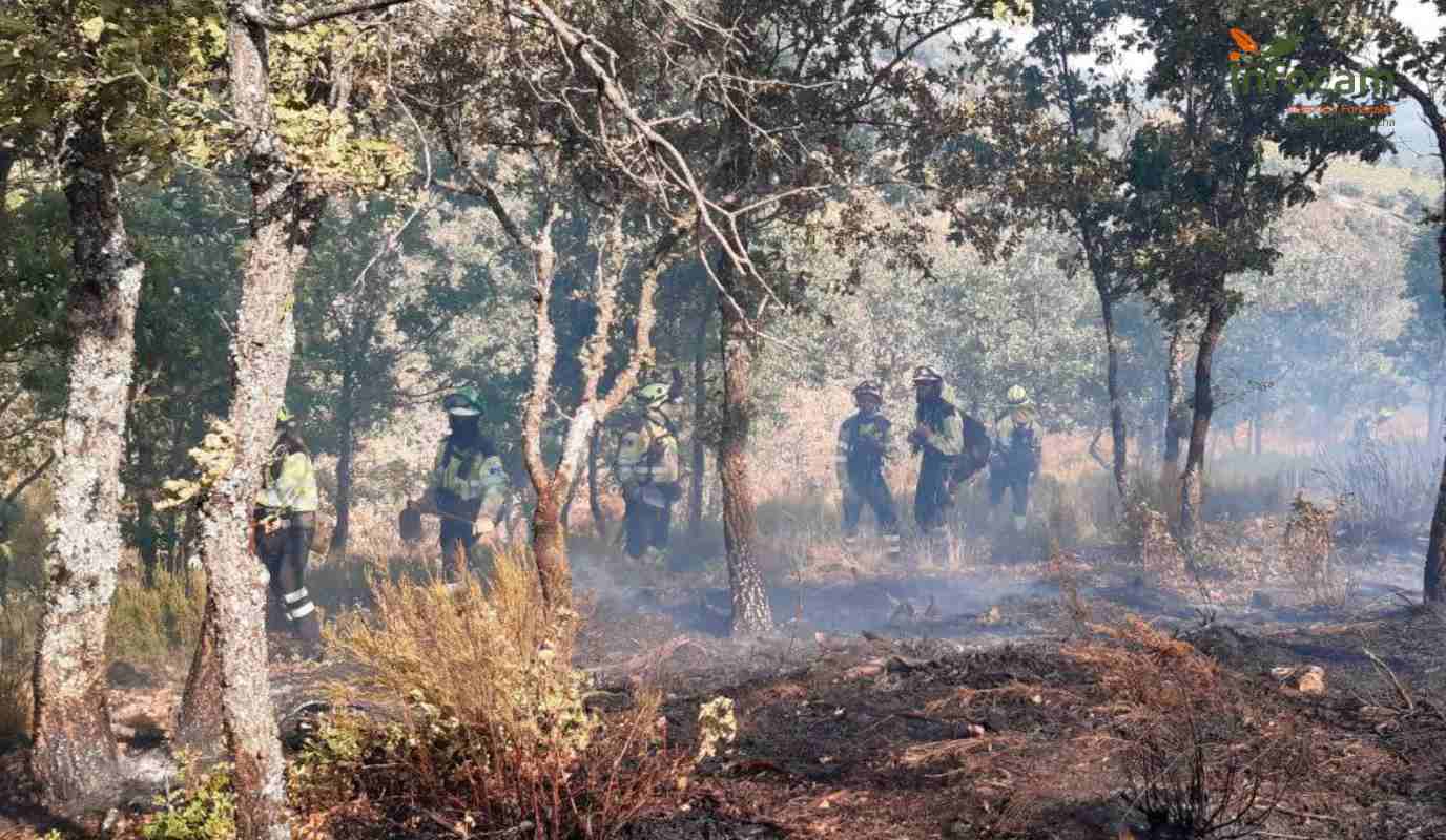 Bomberos del Infocam trabajando en el incendio forestal de Zarzuela de Galve.