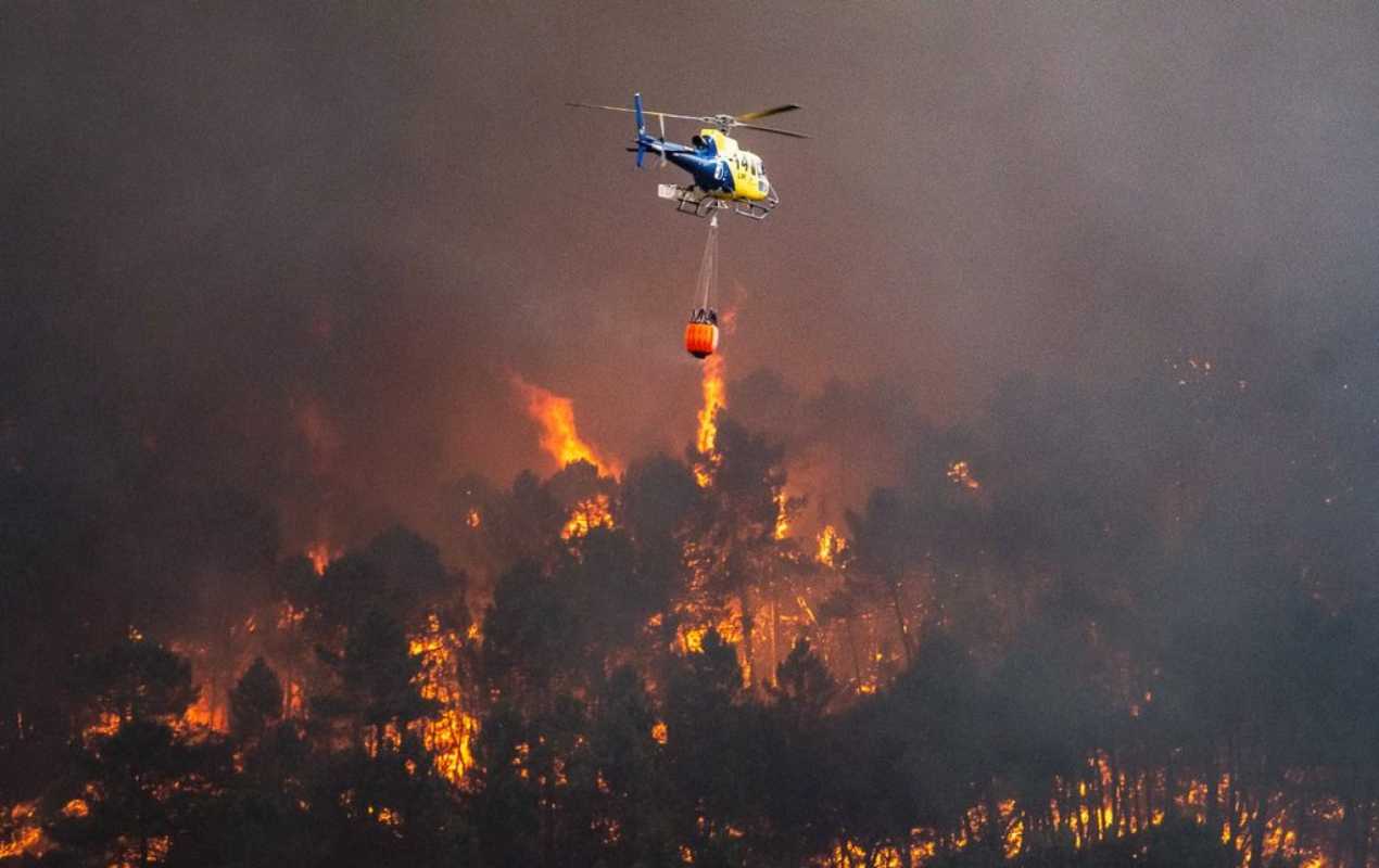 Foto: Javier Valdelvira/@Fuente_El_Ojico.