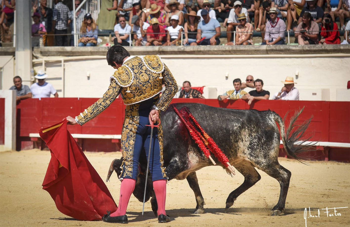 Miguel Losana cortó una oreja al novillo. Foto: Mikael Fortes.