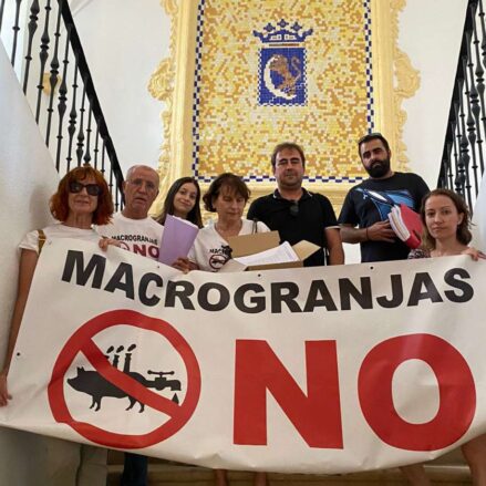 alegaciones-stop-macrogranjas