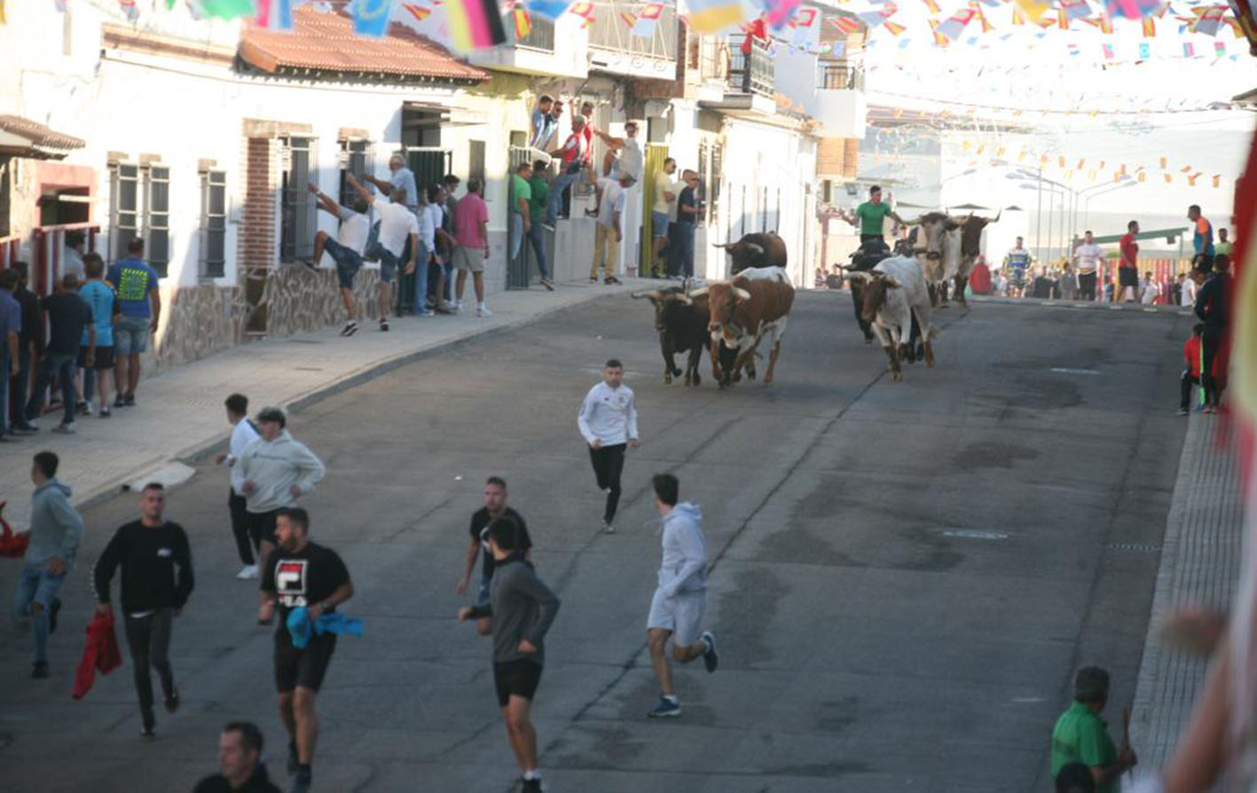 Un momento del encierro celebrado en Villaseca de la Sagra. Foto: César Erustes.