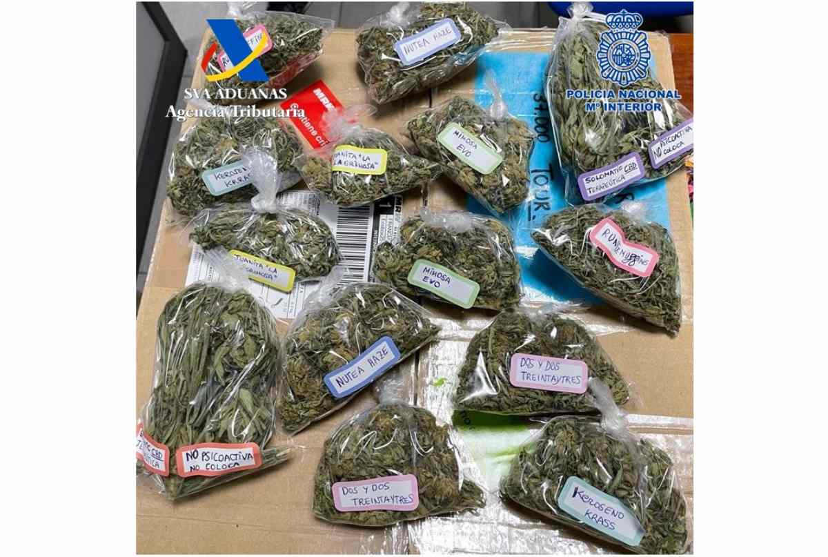 Bolsas de marihuana incautadas en la vivienda desde la que se enviaban el paquete.