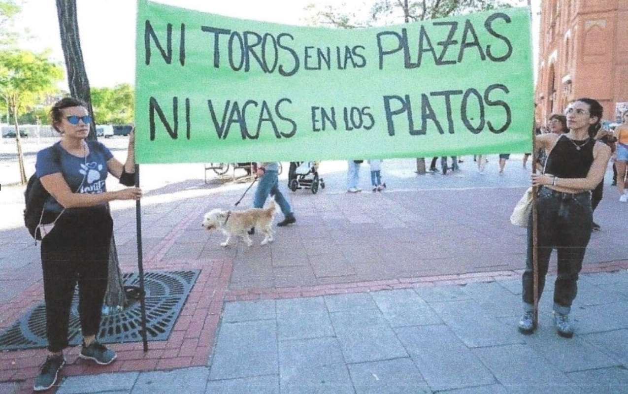 Las dos mujeres que, según Calypo Fado, fueron llamadas "zorras" por un concejal del PP. Foto: Calypo Fado.