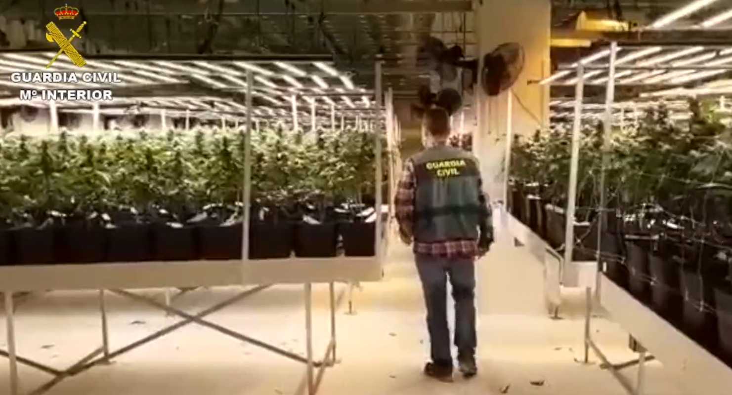 Una de las plantaciones indoor del grupo criminal que ha sido desmantelada.