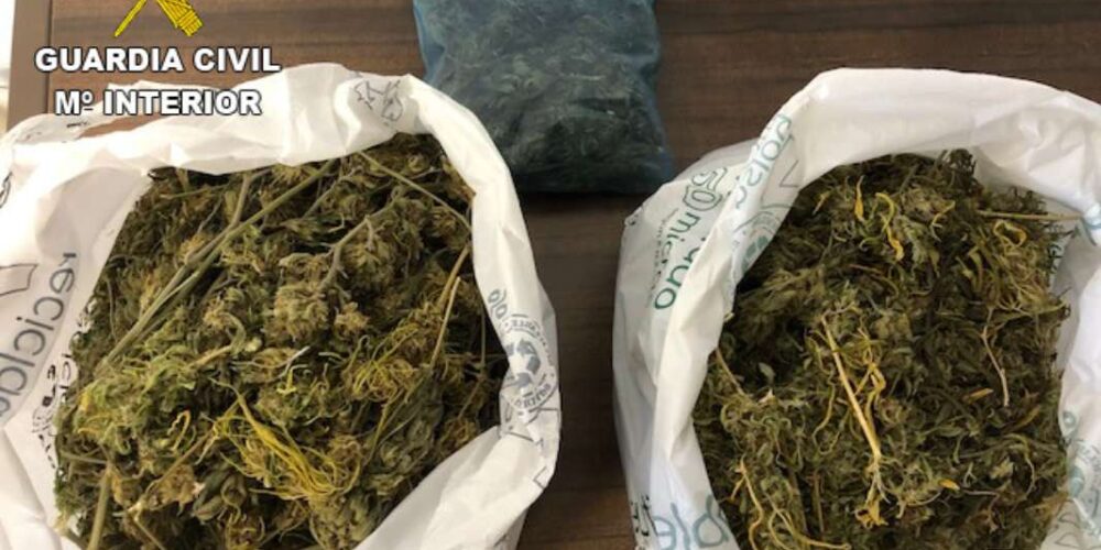 Esta es la marihuana que llevaba un joven circulando por un pueblo de Cuenca.