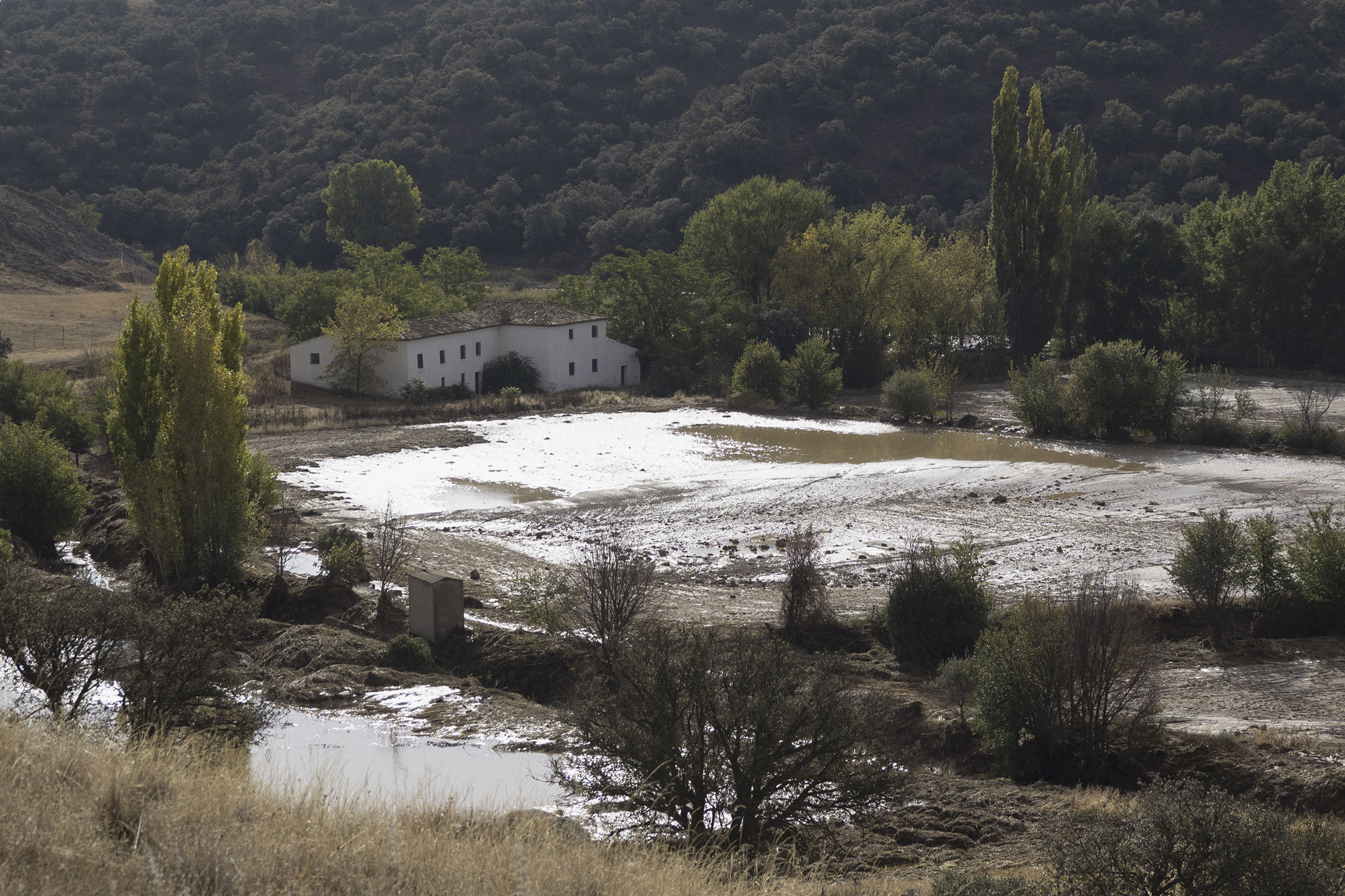 El segundo cuerpo fue hallado en una zona entre Saelices y Casas de Luján. Foto: EFE/José del Olmo.